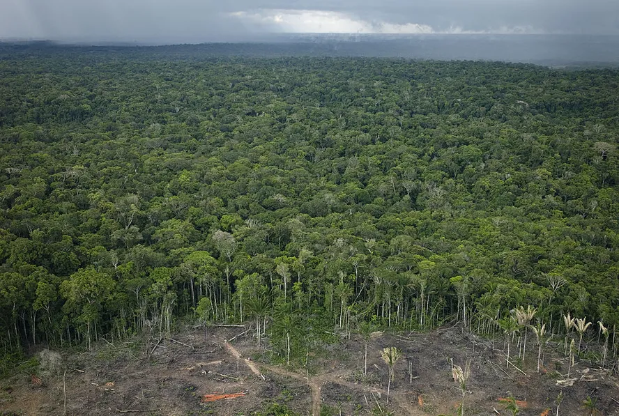 BNDES destina R$318 milhões para combate ao desmatamento na Amazônia