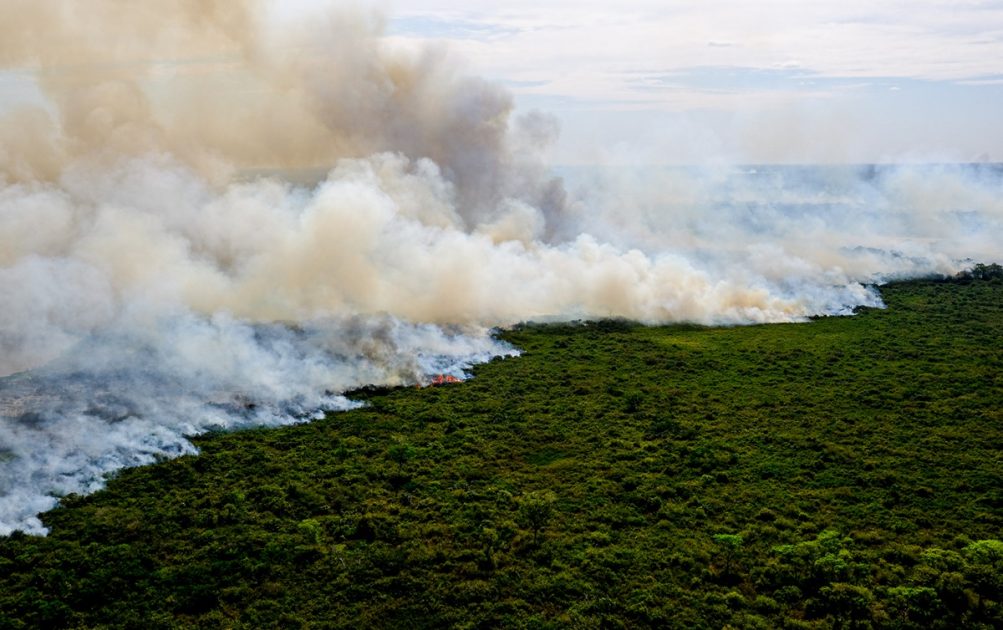 85% dos incêndios no Pantanal acontecem em terras privadas, afirma ministra Marina Silva