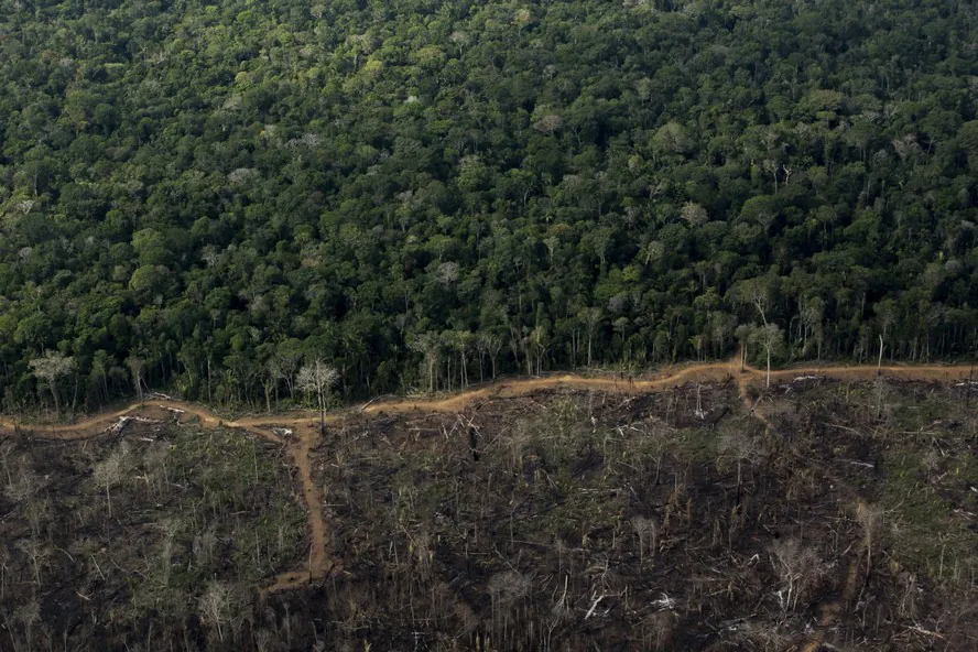 A mancha da destruição da Amazônia traduz a civilização do caos