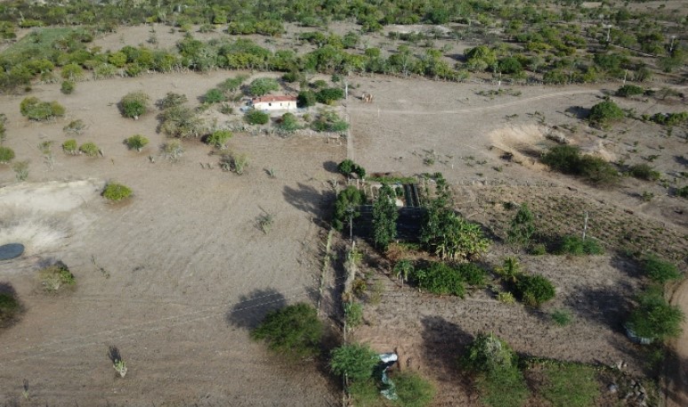 Antes e depois da implementação de um sistema agrofloresta na Caatinga

Restauração da Caatinga: Estratégias de novo estudo prometem revitalizar bioma único
