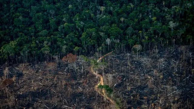 O impacto da reeleição de Maduro na Amazônia