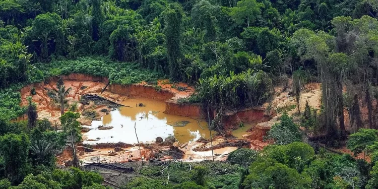 garimpo amazônia Foto: Leo Otero:MPI