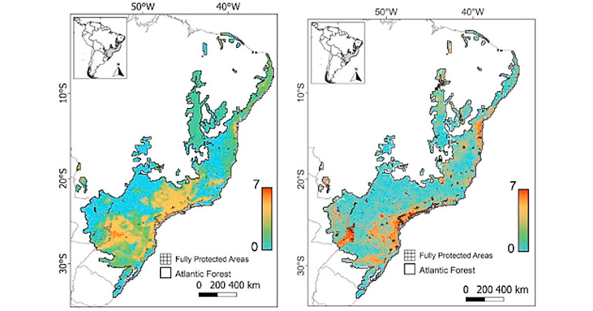 mata Atlântica é adequada 