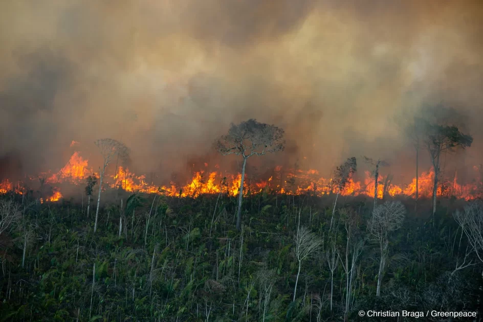 queimadas na amazonia