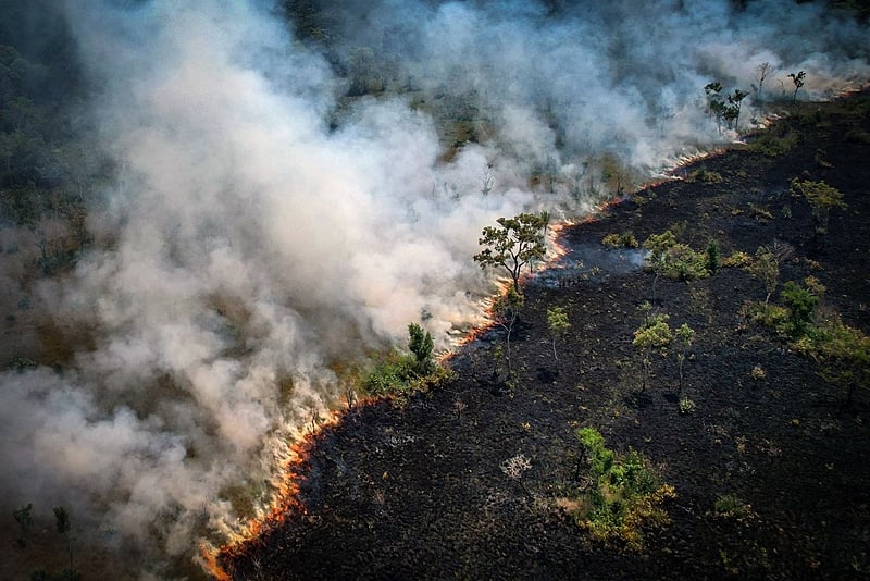 Queimadas na Amazônia alcançam níveis recordes em 2024, impulsionadas por seca severa