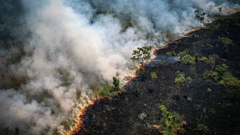 QUEIMADAS NA AMAZONIA