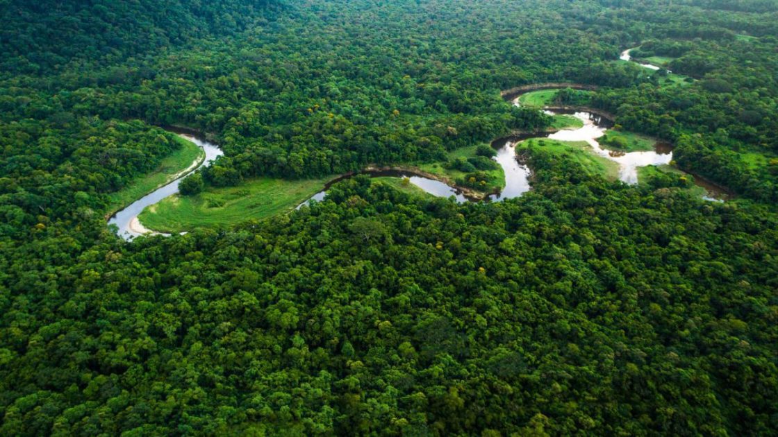 Cientista da USP aponta propostas urgentes para um Brasil em chamas

As sugestões de Paulo Artaxo e da comunidade científica são claras, realistas e urgentes. Elas oferecem um roteiro para reverter o quadro atual e evitar uma catástrofe climática ainda maior. O Brasil tem a chance de se reposicionar como um líder global nas questões ambientais, mas isso exigirá coragem política e um compromisso real com a sustentabilidade.