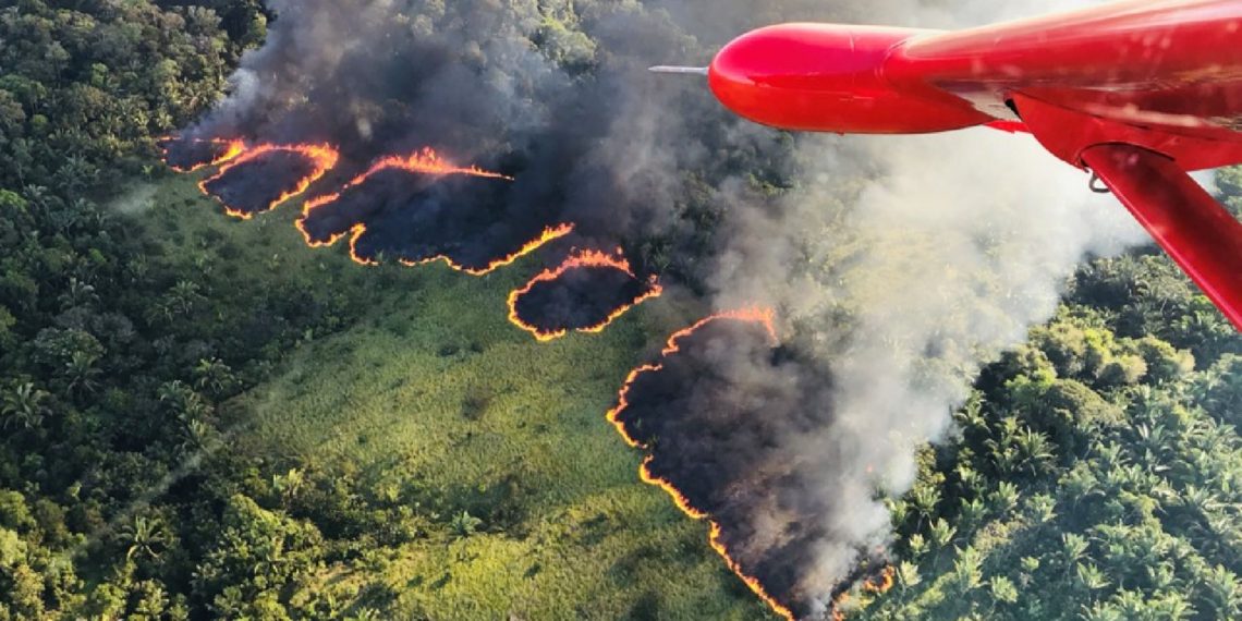 incendios destroem