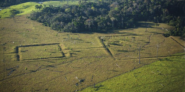 Geoglifos da Amazônia