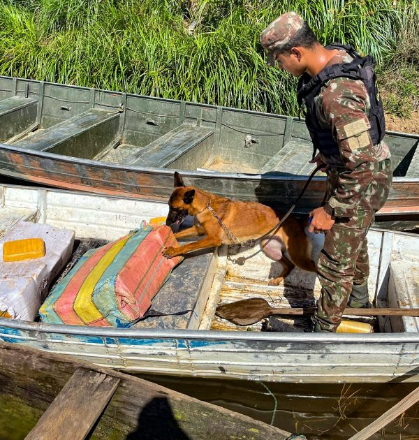 narcotráfico na amazonia