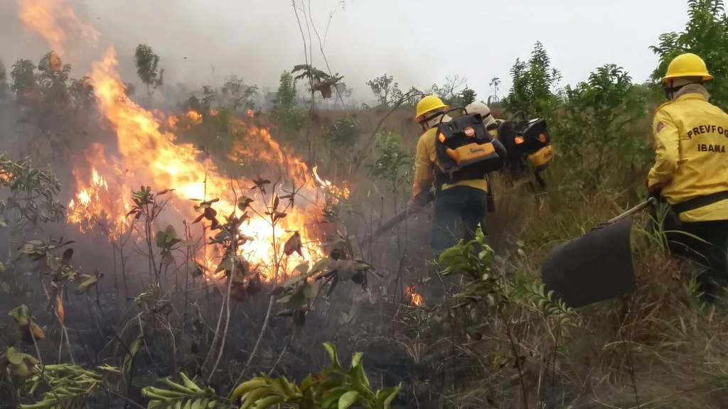 Em meio a uma seca extrema e recorde de queimadas, 174 pessoas foram presas por crimes ambientais na Amazônia em 2024. A falta de fiscalização e práticas ilegais, como desmatamento e queimadas criminosas, agravam a destruição da floresta e ameaçam a biodiversidade.