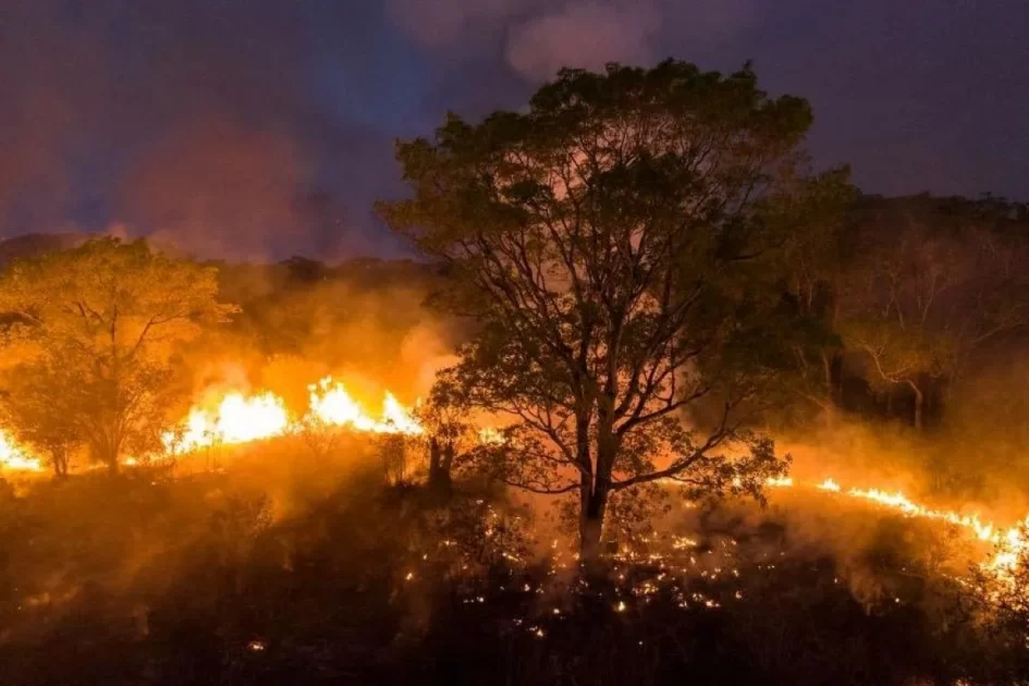 PF lança Operação Incêndios 2025 e começa ações pelo Pantanal.