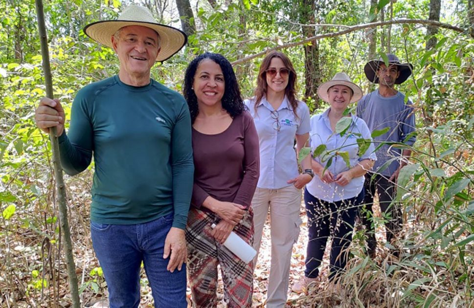 Restauração da Vegetação no Cerrado