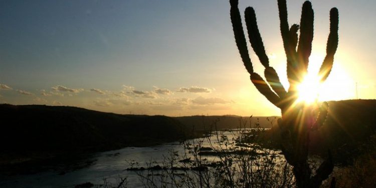 Caatinga