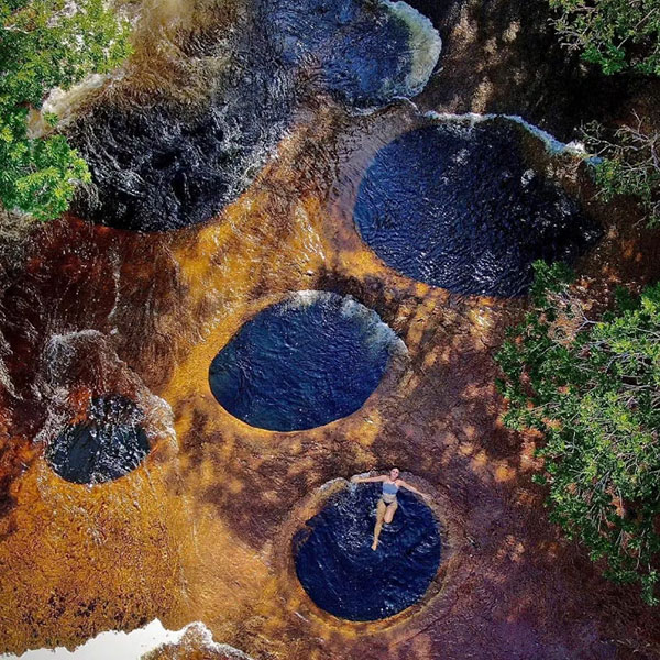 FLORESTA AMAZÔNICA