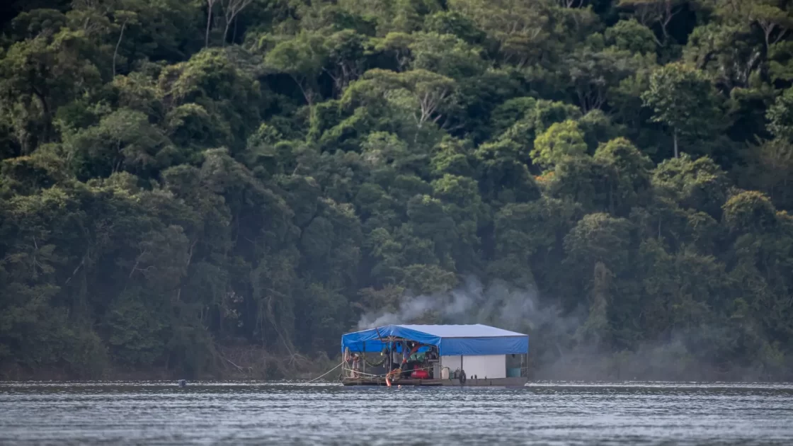 Em um cenário de nível histórico de baixa no rio Madeira, dragas de garimpo invadem a área, desafiando as recentes ações de fiscalização, e agravam a crise ambiental