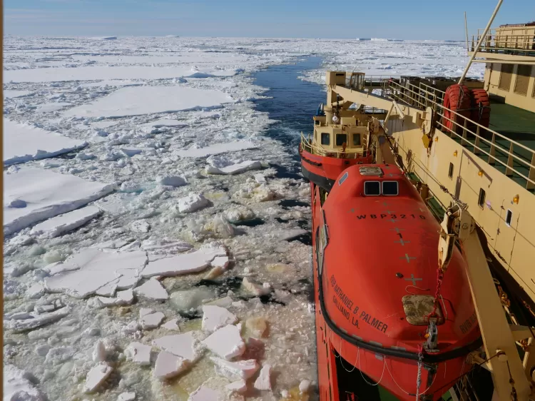 Camada de gelo na Antártida pode colapsar em breve, alertam cientistas

Medições feitas por pesquisadores do BAS mostram que o gelo na Antártida derrete em ritmo alarmante e ameaça o aumento global do nível do mar