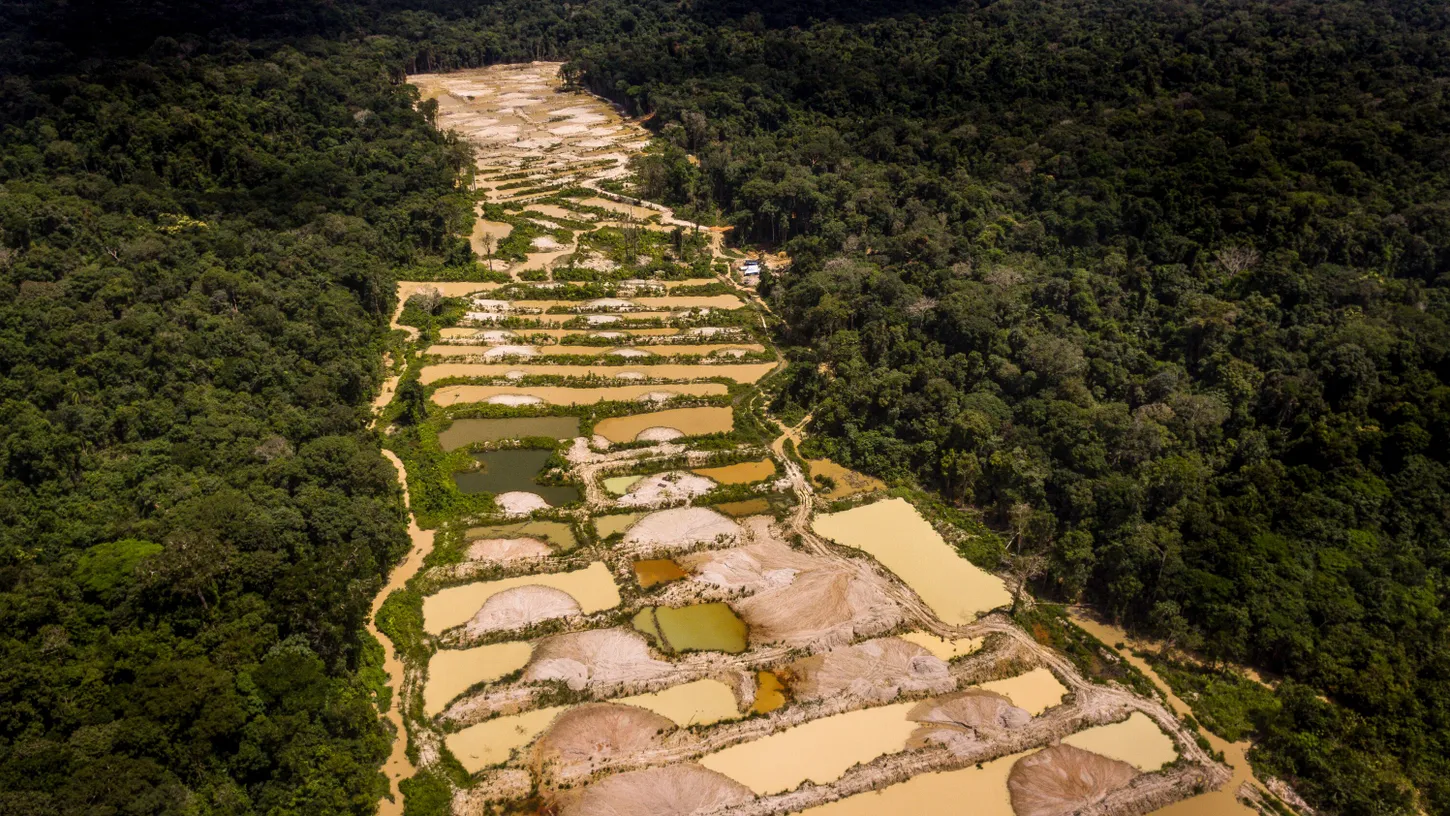 garimpo de ouro ilegal amazonia 16