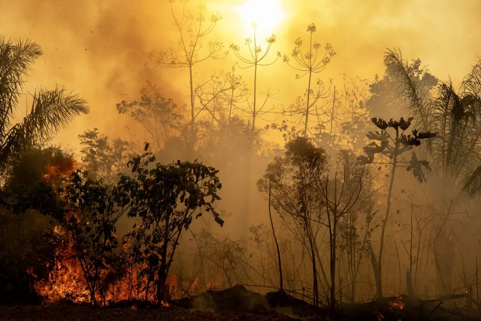 o que diria Samuel Benchimol ao ver a Amazônia ameaçada?

Para que a Amazônia prospere diante dos episódios extremos de mudança climática e de invasão das grandes potencias econômicas , é necessário protagonismo político que ampare um desenvolvimento com sustentabilidade. E que priorize a proteção da floresta como viabilidade de promoção das pessoas que nela habitam. Essa visão, mais do que nunca, deve guiar as ações de governos, empresas e sociedade civil. Ou então…