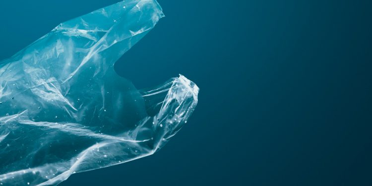 Novo bioplástico se biodegrada até 15 vezes mais rápido que papel nos oceanos