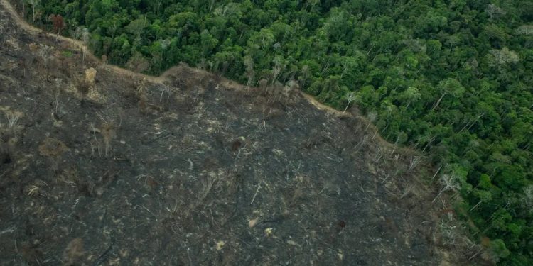 Imagens mostram novas áreas de garimpo em TIs na Amazônia