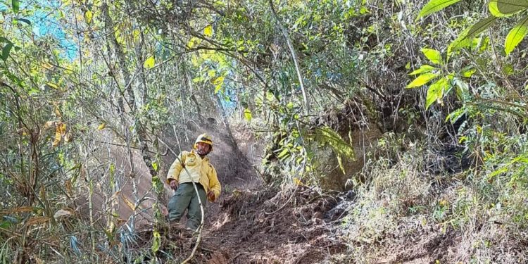 Exército recebe multa de R$6,5 milhões por causar incêndio florestal