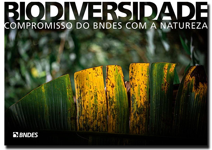 Capa do documento “Biodiversidade: o compromisso do BNDES com a natureza”, que destaca o compromisso com a biodiversidade do BNDES