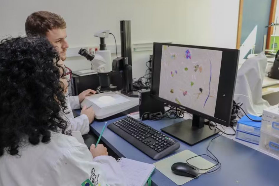 Após coleta das teias de aranha espalhadas em campus da Universidade Federal do Espírito Santo (UFES), material foi analisado no laboratório