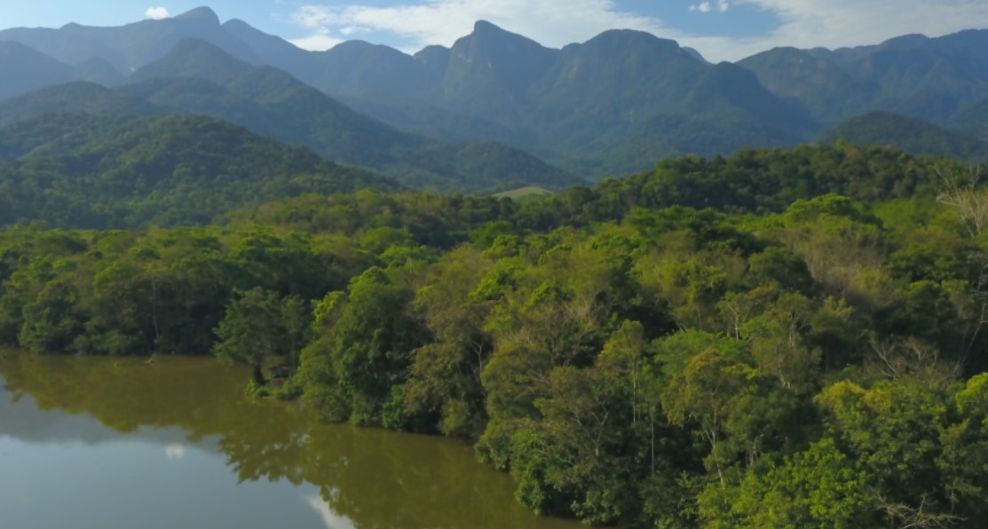 Milhares de novas espécies de plantas são encontradas em 33 lugares poucos conhecidos pela ciência

Estudo aponta áreas prioritárias para conservação e destaca urgência na proteção de espécies de plantas ainda não catalogadas