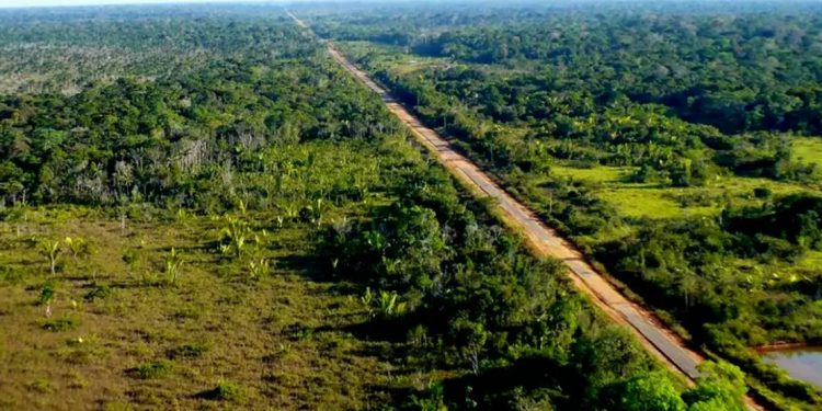 Governo propõe modelo de fiscalização ambiental na rodovia BR-319, que liga os estados do Amazonas e Rondônia