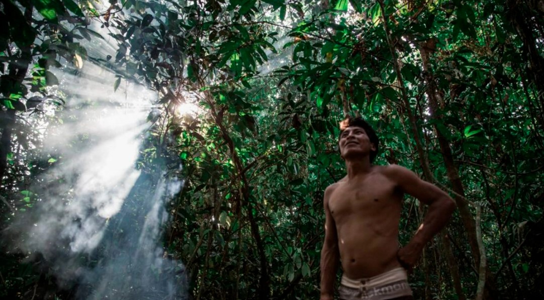 Organizações lançam aliança indígena inédita em prol da luta ambiental