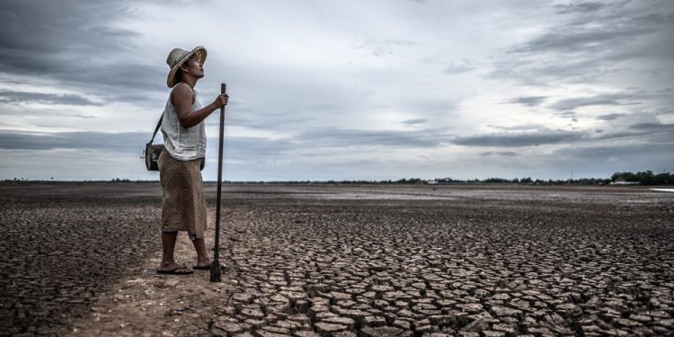 Seca na América do Sul alcança grau histórico em vários países, incluindo o Brasil