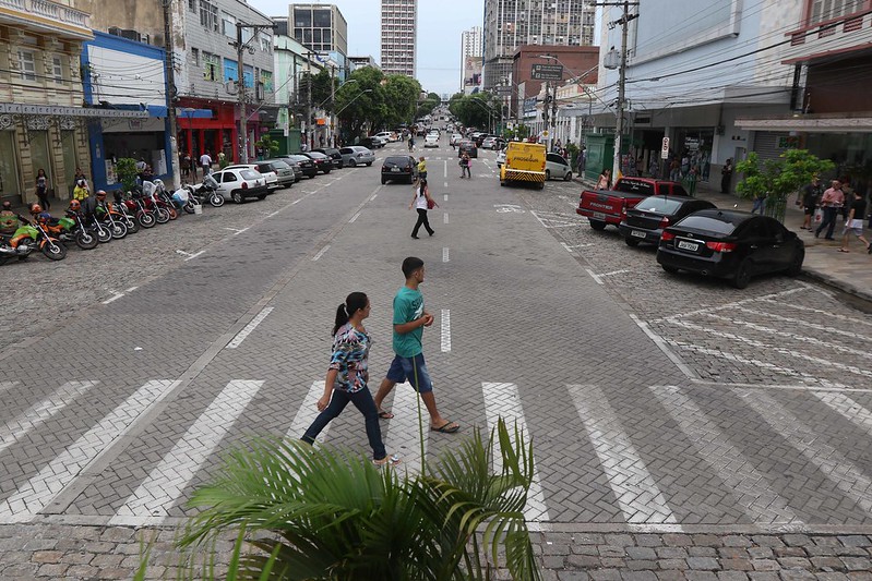 cobertura vegetal de manaus