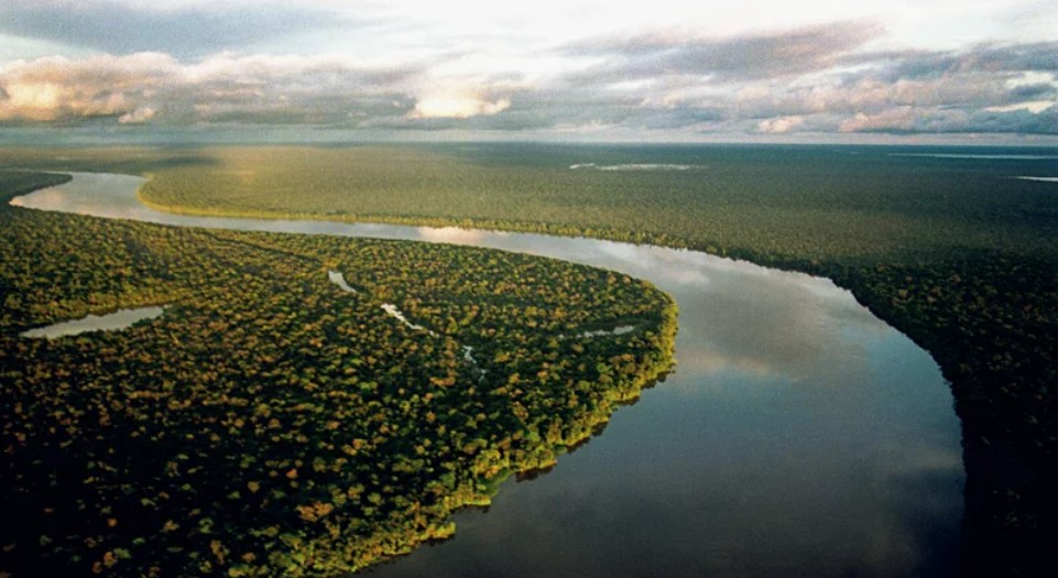 Enfraquecimento da circulação do Atlântico, fundamental para regulação das chuvas, pode interferir na cobertura florestal da Amazônia