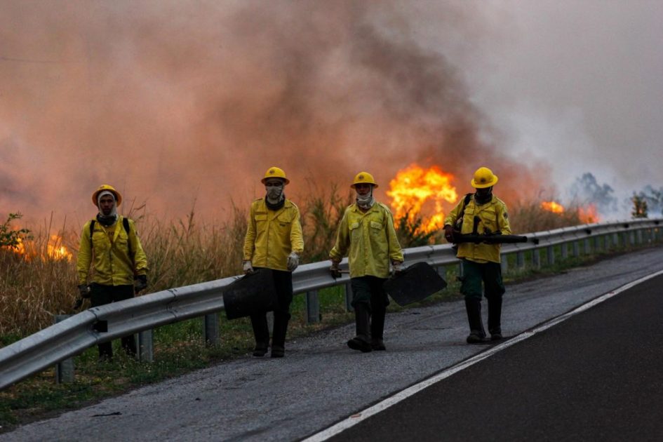 Brigadistas combatem incêndios florestais no Pantanal