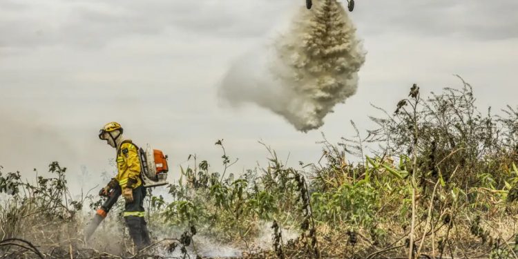 Pantanal: redução da área alagada tem favorecido aumento de incêndios