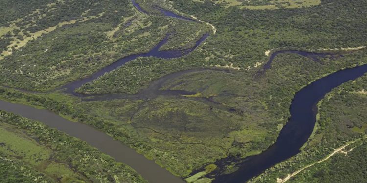 Maior parte da Mata Atlântica tem menos de 30% de vegetação nativa