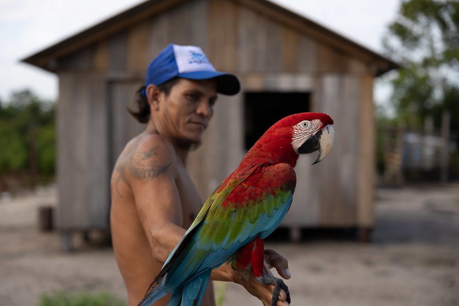 A modernização do mapeamento de espécies da Amazônia não apenas impactam diretamente a preservação da floresta, como também oferecem o potencial de transformar a economia local