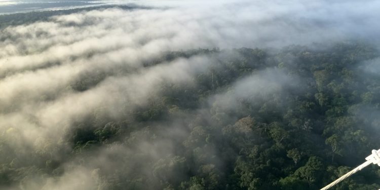 Devastação de florestas pode comprometer rios voadores e funcionamento de hidrelétricas brasileiras