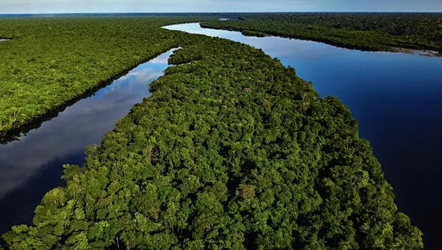 zona franca de manaus