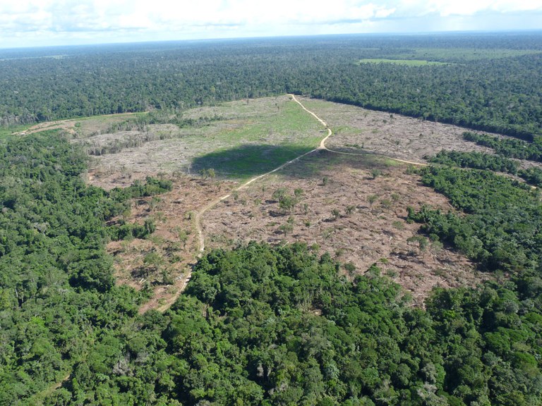 Desmatamento na Amazônia