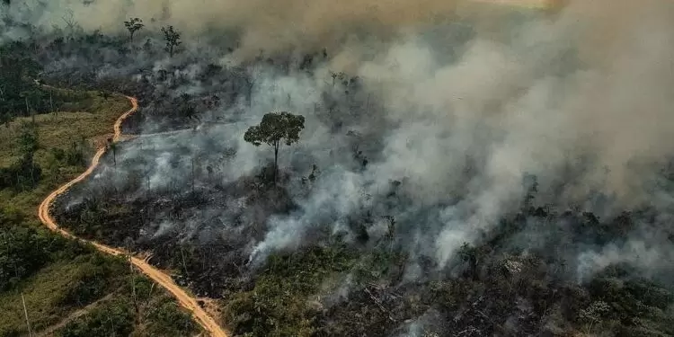 fumaça das queimadas