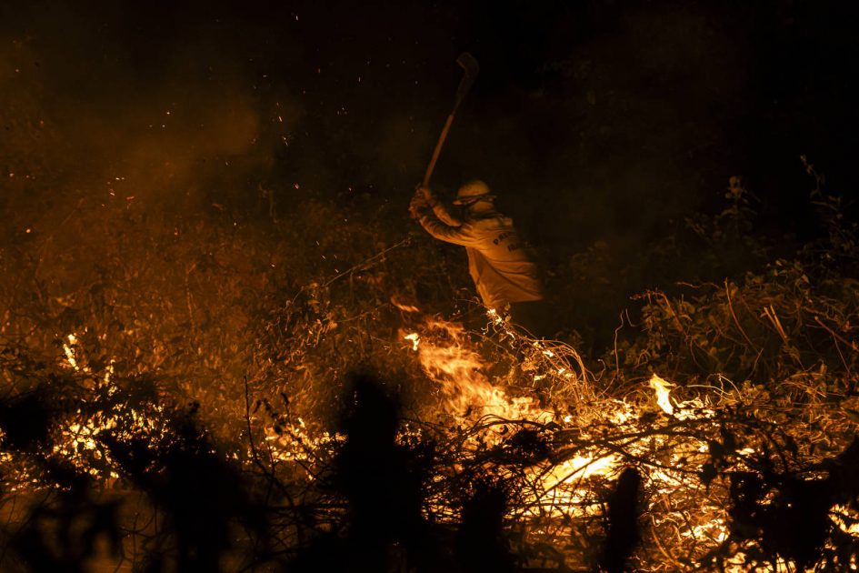 Em junho de 2024, a área devastada por incêndios no Pantanal foi equivalente a três vezes o tamanho da cidade de São Paulo, segundo o MapBiomas