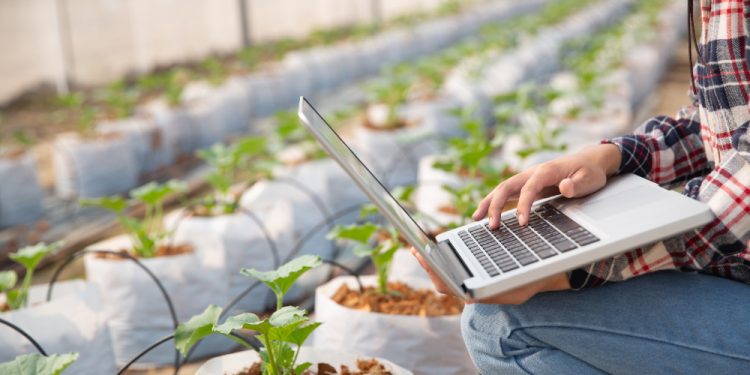 Projetos brasileiros se aliam à tecnologia para aumentar produtividade e reduzir impactos da agricultura no meio ambiente