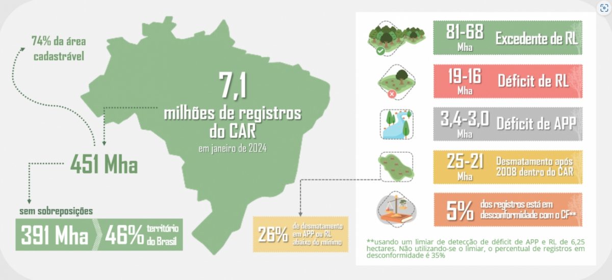 Resumo do balanço de dados obtido pelo Panorama do Código Florestal no Brasil