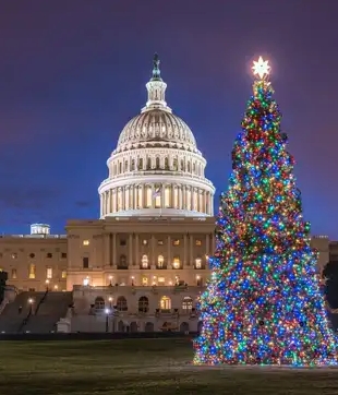 Deixar árvores de Natal decorando lugares públicos é comum na época natalina em diversos países do mundo. Aqui, a decoração feita diante do edifício do Capitólio, em Washington, capital dos Estados Unidos.