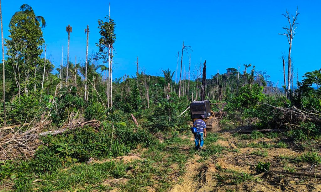 Processo de construção de aceiro em área no município de Apuí-AM .