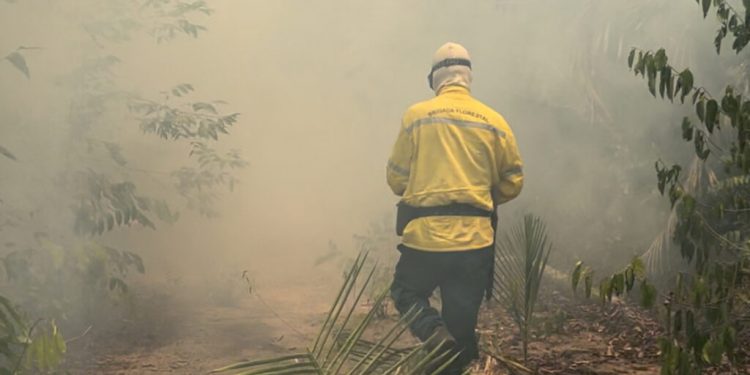 Fumaça no Pará tem origem em crimes ambientais, diz Ibama