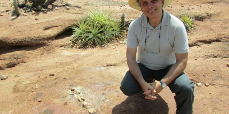 Ismar de Souza Carvalho, professor do Instituto de Geociências, é coautor de artigo de capa da revista Nature que descreve a ave pré-histórica