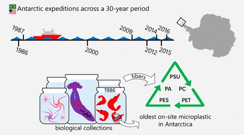 Representação visual das observações realizadas pelo estudo "Os Alimentadores de Fundo Consomem Suas Fibras: A Ingestão de Microdetritos Antropogênicos por Invertebrados de Águas Profundas da Antártica Depende da Ecologia Alimentar".